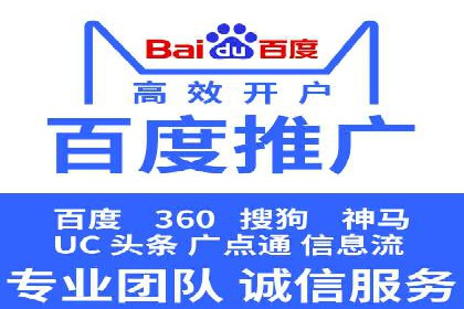 行业领先SEM托管代运营案例